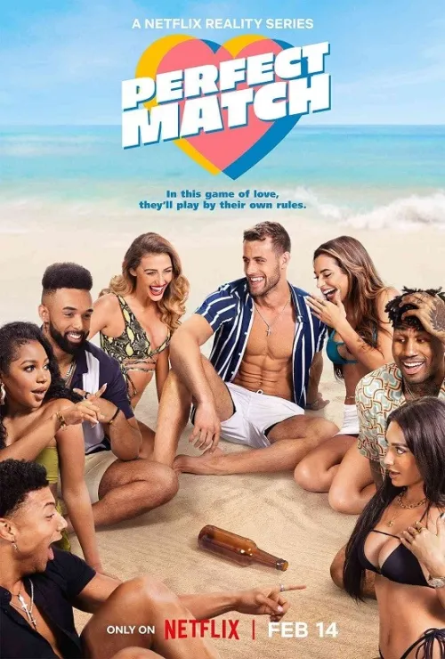 Movie Poster: Perfect Match