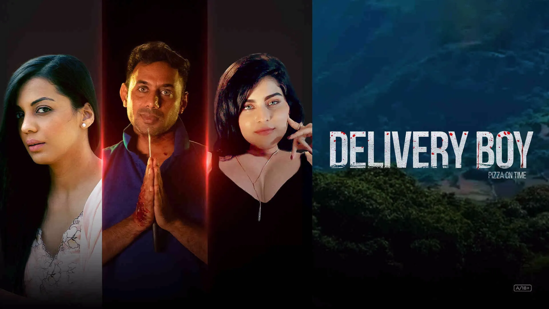 Movie Poster: Delivery Boy Pizza On Time
