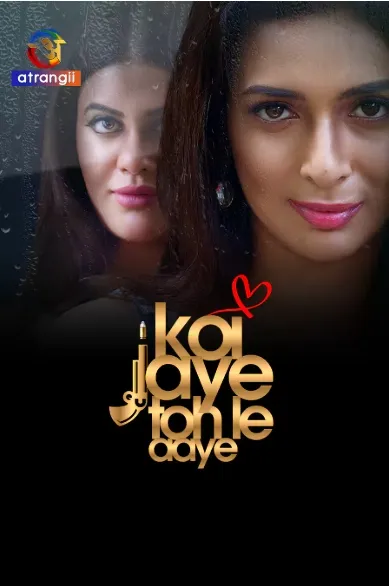 TV series poster: Koi Jaye Toh Le Aaye