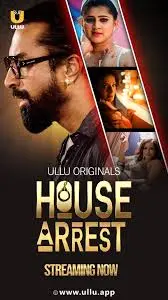 TV series poster: House Arrest