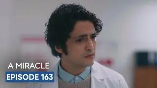 Episode 163