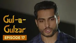 Episode 17