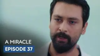 Episode 37
