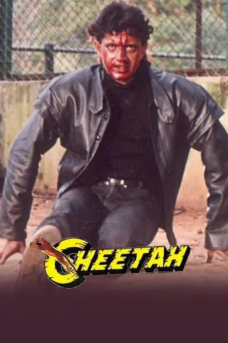 Cheetah