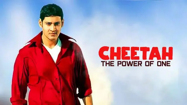 Cheetah: The Power Of One