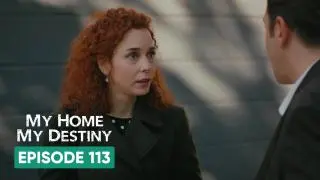 Episode 113