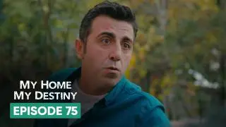 Episode 75