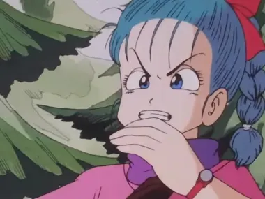 E1.Secret of the Dragon Balls