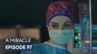 Episode 97