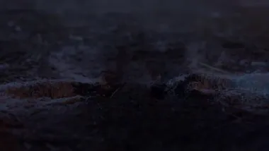 E71