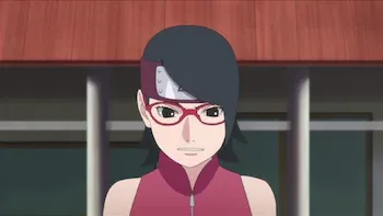 E42.A Ninja's Job