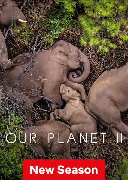 TV series poster: Our Planet