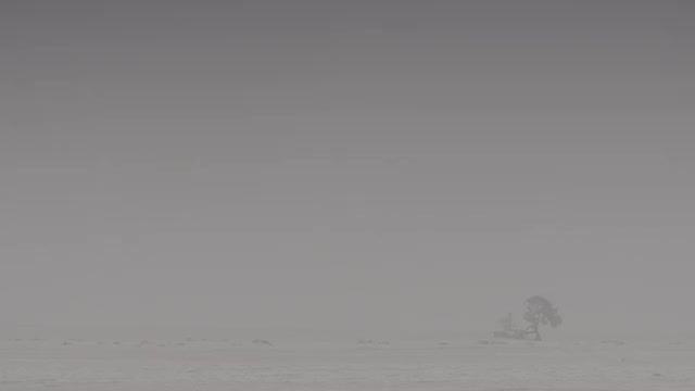 E3.Dust