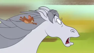 E56.Saddle Soreheads