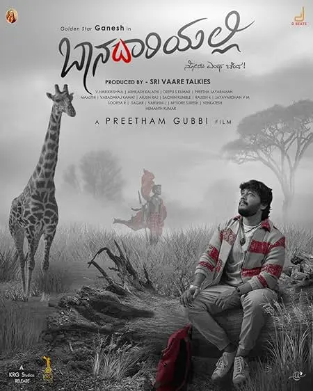 Movie Poster: Baanadariyalli