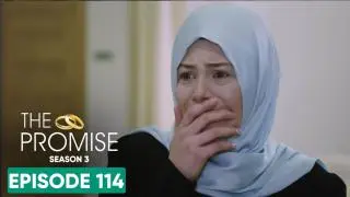 Episode 114