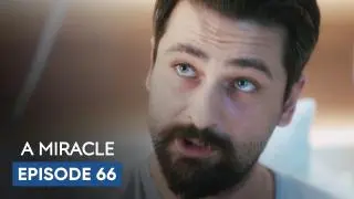 Episode 66