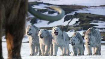 E8.Chapter 8: Age of Ice and Fire