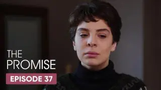 Episode 37