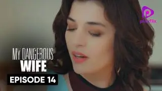 Episode 14