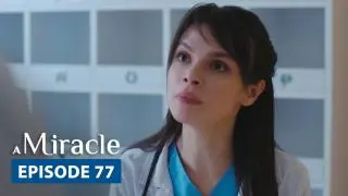 Episode 77