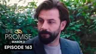 Episode 163