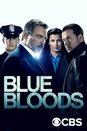 Blue Bloods - Web Serie complete free on Castle