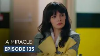 Episode 135