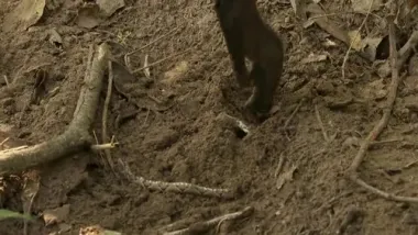 E6.Edge of the Knife