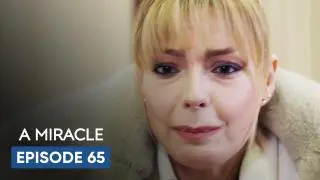 Episode 65