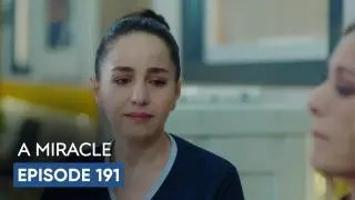 Episode 191