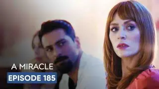 Episode 185