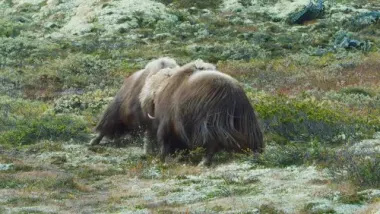 E5.Europe