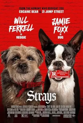 Strays - Movie free on Castle