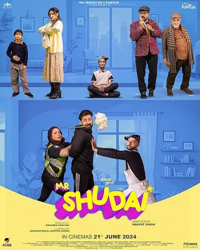 Mr Shudai