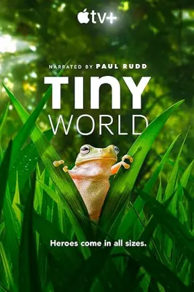 Tiny World - Web Serie complete free on Castle