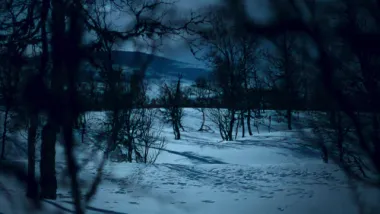 E6.Polar Bear Winter