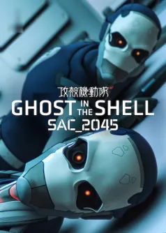 Ghost in the Shell: SAC_2045