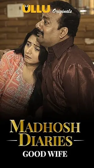 TV series poster: Madhosh Diaries - Good Wife