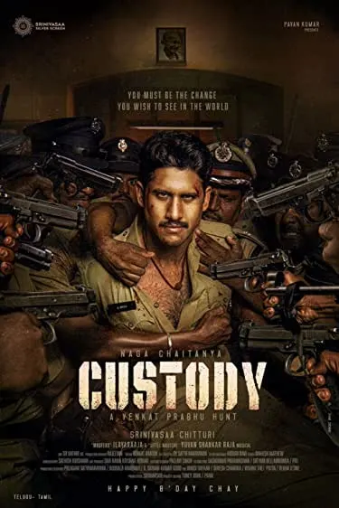 Movie Poster: Custody