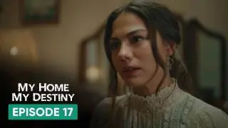Episode 17