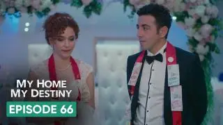 Episode 66