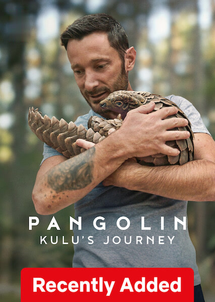 Pangolin: Kulu’s Journey