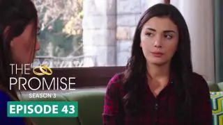 Episode 43