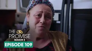 Episode 109
