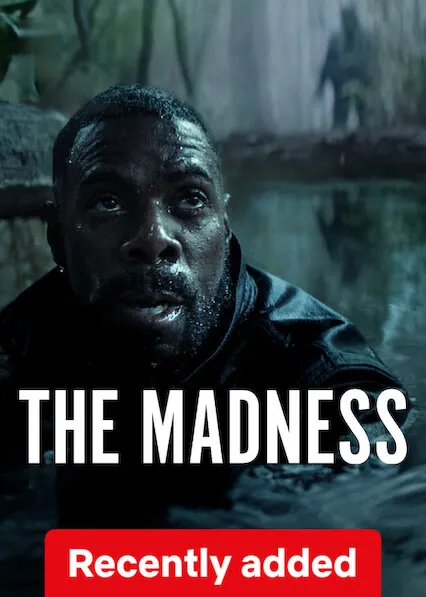 TV series poster: The Madness