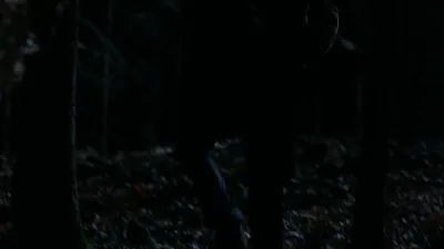 E17.I Went to the Woods
