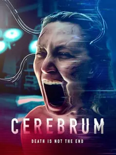 Cerebrum