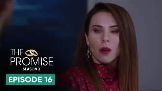 Episode 16