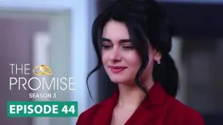 Episode 44